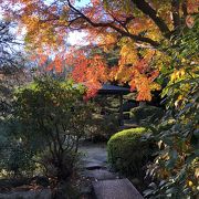 紅葉の盛り