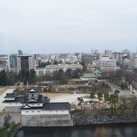 客室から富山城を見下ろす