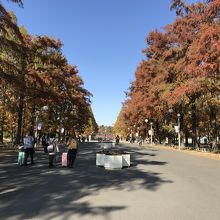 鶴見緑地公園の紅葉もなかなかいい By Swal 花博記念公園鶴見緑地のクチコミ フォートラベル 鶴見緑地公園の紅葉もなかなかいい By Swal 花博記念公園鶴見緑地のクチコミ フォートラベル