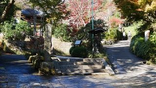 紅葉は今一つでしたが・・・