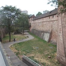 南のエリアの様子です。