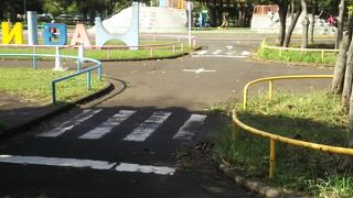 子供たちに人気の公園です