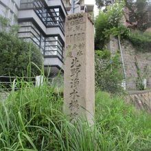 見逃しそうです