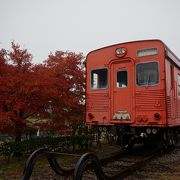 開園20周年です