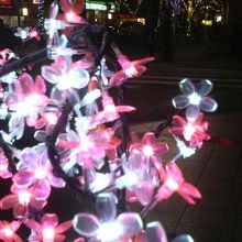 桜の花弁を模したライトが集まったオブジェもありました