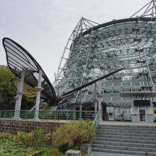 巨大な蚊のオブジェ！刺れたら死ぬな！