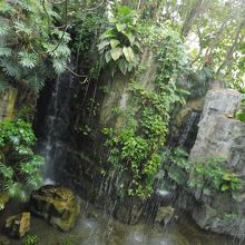 滝がまた清涼感を醸し出す