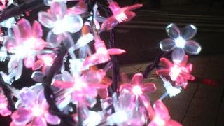 桜のオブジェや春を思わせるピンク色の街路樹ライトアップがいい感じ