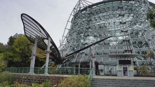 入口に居る巨大な蚊のオブジェは撮影スポット！