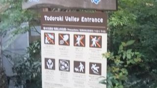 お天気が良い日に散歩がおススメ