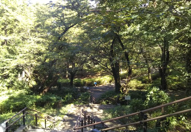 三ツ沢公園 クチコミ アクセス 営業時間 東神奈川 保土ヶ谷 弘明寺 フォートラベル