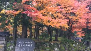 紅葉の見ごろに行けました。