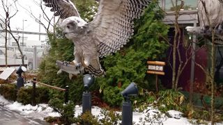 ラウンジはありません