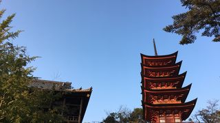 厳島神社の背後に立つ
