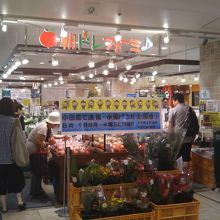 朝ドレファ～ミ♪ 