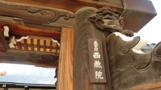 御行の松近くに