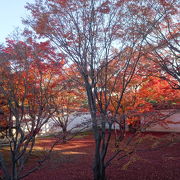 紅葉が見事な織田信長の京都の宿