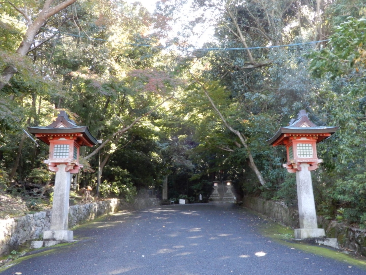 ニワトリが歩く歴史ある神宮