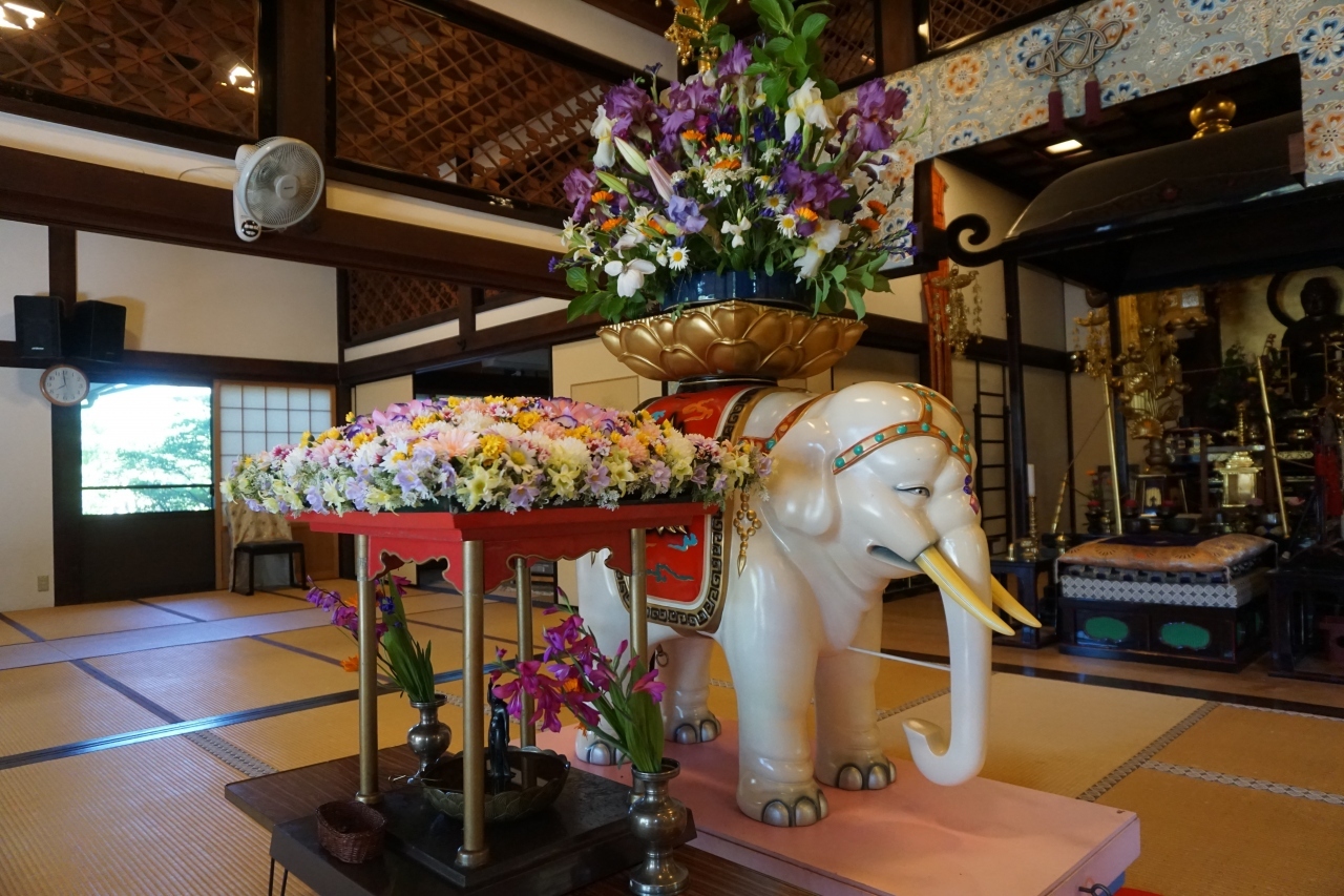 境内の雰囲気は大寺の風格