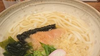 博多うどん