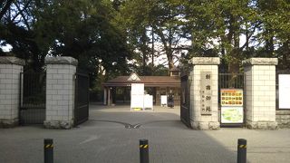 大きな庭園