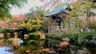 落ち着く静けさのあるお寺
