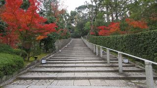 段差の低い石段です