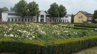 旧市街地の中心で東寄りにあります。