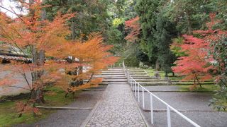 気が付けば歩いていました