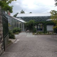 入り口のようすです。