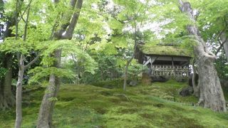 新緑が美しい山