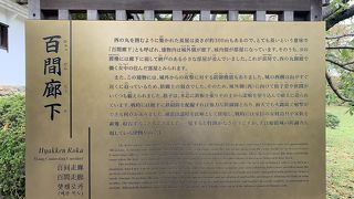 静かですが、必見です。