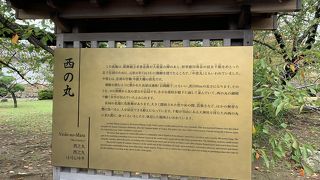 建物はありません