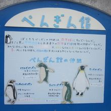 手書きの案内板も、本来の旭山動物園らしい愛を感じてステキ。