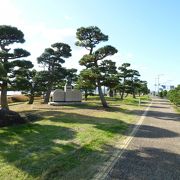 宍道湖沿いの公園