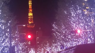 東京タワーが見えるスポットがあります