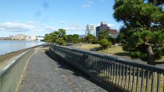 整備されきれいな公園