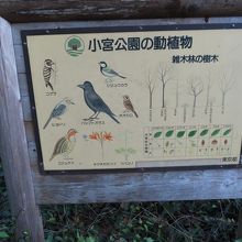 小宮公園の動植物の説明版