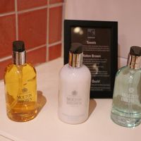 アメニティは王室御用達ブランドのMolton Brown
