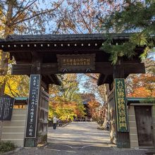 寺内紅葉してます