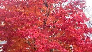 短期間で季節や混雑状況を違えて訪問すると、より良さが見えてきます