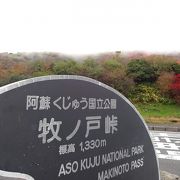 登山口