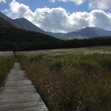 くじゅう連山タデ原湿原にて