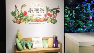 デジタル収穫祭