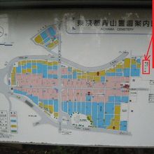 港区立の青山公園は、青山霊園の北側に隣接して、あります。