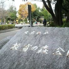 休日は朝から遊んでる親子連れが多かったです