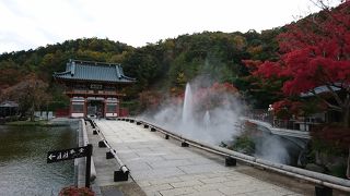 異次元空間のようなお寺