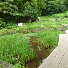 片倉城跡公園：自然の風景、里山の風景
