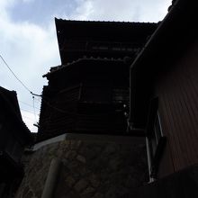 石垣にへばりついてる