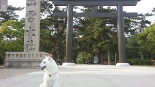 早朝の参拝がオススメです。